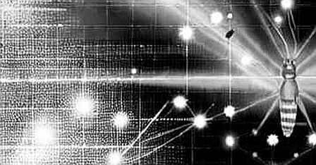 Breaking: Bitcoin's Purgatory – The Three Conditions, the Missing Capital, and the Thin Market Trap Breaking: Bitcoin's Purgatory – The Three Conditions, the Missing Capital, and the Thin Market Trap