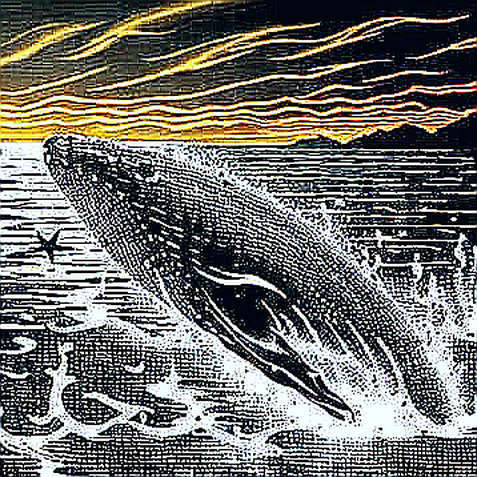 The Altcoin Contrarian Play: Why One Trader Flipped His Entire Portfolio from BTC The Altcoin Contrarian Play: Why One Trader Flipped His Entire Portfolio from BTC